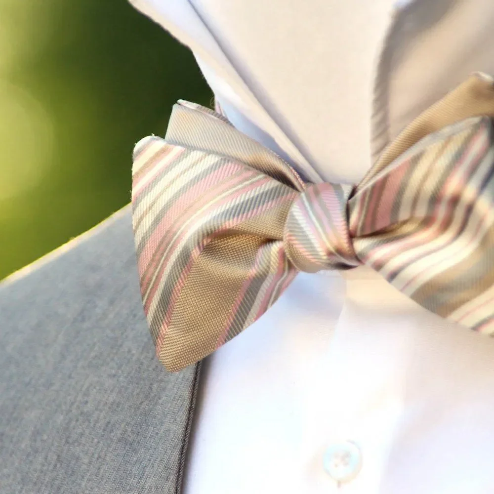 NWT Men's bow tie Silk Self-tied Gift Box S441 Christmas gift Ready‎ to ship